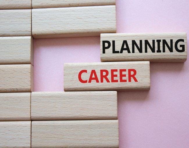 Fejlesztés és karrier