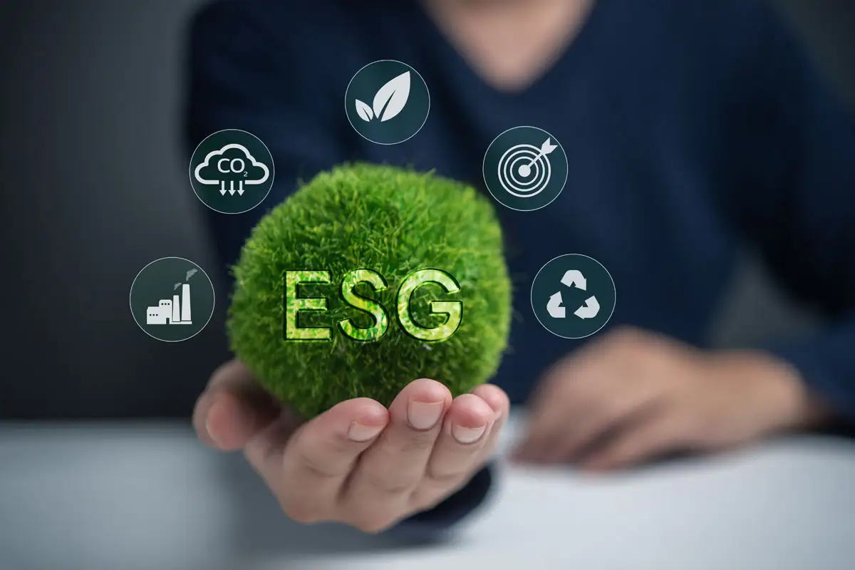 Fenntarthatóság & ESG tanácsadás